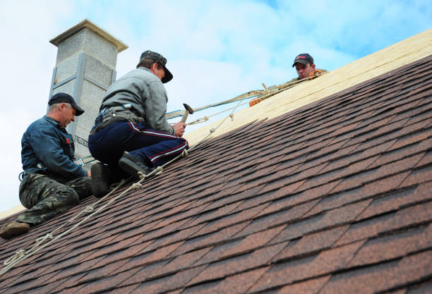 Best Storm Damage Roof Repair  in Seguin, TX